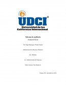 Proyecto de auditoría