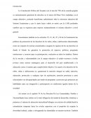 Ensato artículos educación