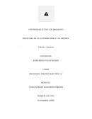 Ensayo sobre la psicología deportiva