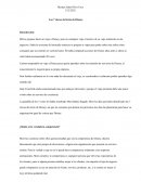 Las 7 claves del éxito de Disney