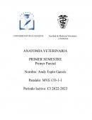 ANATOMIA VETERINARIA