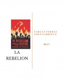 Ensayo la rebelión de las ratas