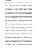 La diversidad cultural en el nivel biográfico