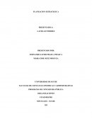 ENSAYO SOBRE LA PLANEACION ESTRATEGICA