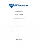 Enfoques Psicológicos de la Conducta Criminal