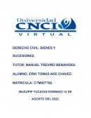 DERECHO CIVIL: BIENES Y SUCESIONES