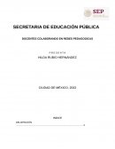 DOCENTES COLABORANDO EN REDES PEDAGOGICAS