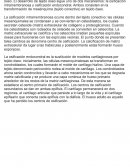 La osificación u osteogénesis es el proceso de formación de nuevo tejido óseo