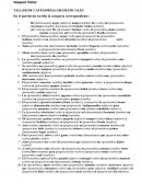 TALLER DE CATEGORÌAS GRAMATICALES