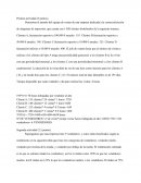 ORGANIZACION EQUIPOS DE VENTA