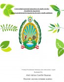 Informe de biologia N°9