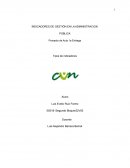 INDICADORES DE GESTIÓN EN LA ADMINISTRACION PÚBLICA