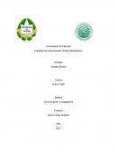 Reportaje de la guerra de Rusia y Ucrania