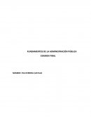 Fundamentos de la administración pública