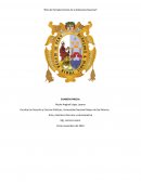 Arte y Literatura Peruana y Latinoamérica