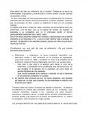 TALLER, principios BIOÉTICOS