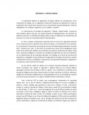 SEGURIDAD E HIGIENE LABORAL