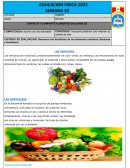 DISFRUTA Y COMPARTE ALIMENTOS SALUDABLES