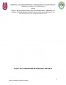 INFORMATICA Y COSTOS EN LA CONSTRUCCIÓN