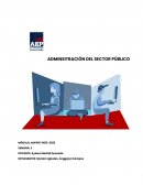 Administración del sector público
