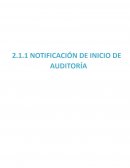 AUDIT SYSTEM MAYDA S.A