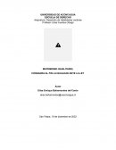 MATRIMONIO IGUALITARIO, CONSAGRA AL FIN LA IGUALDAD ANTE LA LE