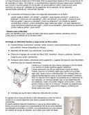 Actividades sobre Qatar 2022