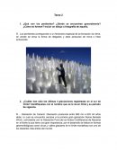 Glaciares