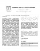Informe de elaboración de mermelada