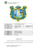 ENSAYO SOBRE EL JUEGO