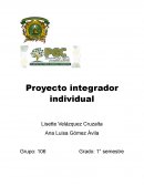 Proyecto integrador individual