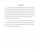 Reducción de observaciones al Elipsoide