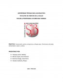 Cosmovisión andina, amazónica y afroperuana. Síndromes culturales. Alimentación, salud y cultura
