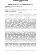 MANTENIMIENTO PREVENTIVO DE EQUIPOS DE CARGUIO – PALAS HIDRÁULICAS – EN MINERIA: UNA REVISIÓN SISTEMÁTICA