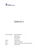 La implementación de sistemas de información en una compañía