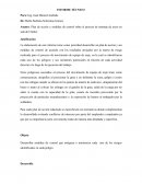 INFORME SOBRE EL PROCESO DE MONTAJE DE ARCOS EN LA SALA DE CLINKER