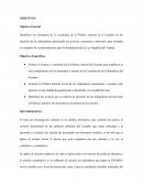 APLICACIONES INFORMATICAS