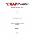 Trastornos del lenguaje mixto