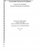 FAMILIAS SALUDABLES (SESION EDUCATIVA)