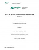 Reseña critica de la responsabilidad de adoptar una mascota