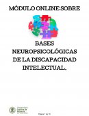MÓDULO ONLINE SOBRE BASES NEUROPSICOLÓGICAS DE LA DISCAPACIDAD INTELECTUAL.