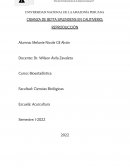 CRIANZA DE BETTA SPLENDENS EN CAUTIVERIO: REPRODUCCIÓN