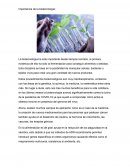 Importancia de la biotecnología