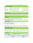 Informe de Identificación de Riesgo Manejo Manual de Carga