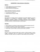 Clases Abstractas y Polimorfismo