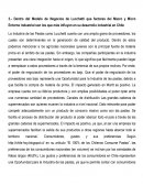 Dentro del Modelo de Negocios de Lucchetti que factores del Macro y Micro Entorno Industrial son los que más influyen en su desarrollo industrial en Chile