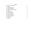 Enfoque de la Investigación