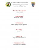 Proyecto De Investigación DEFLEXIONES