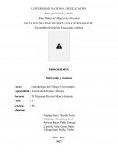 Monografía del resumen y el subrayado