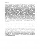 Los argumentos juridicos